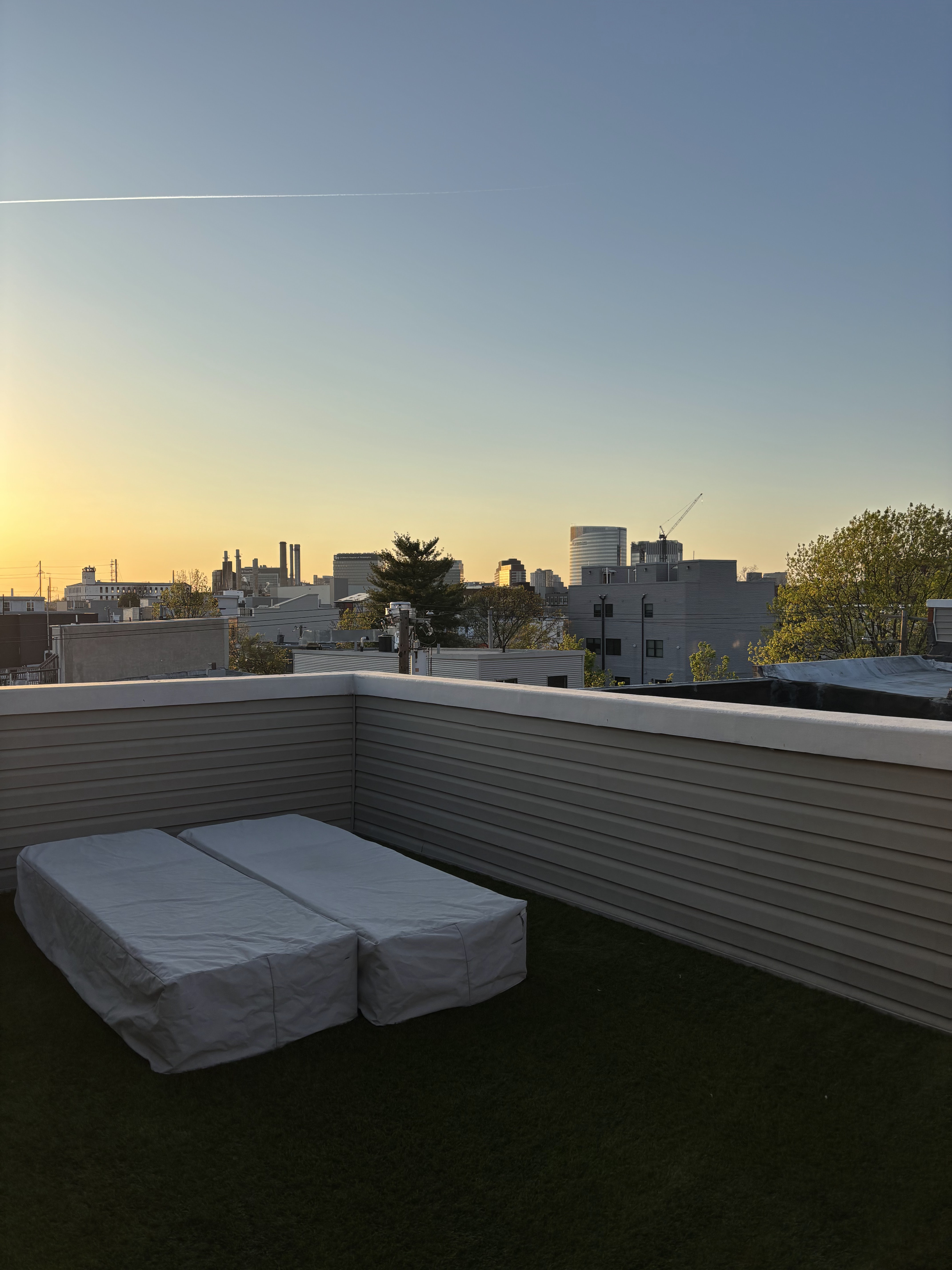 Roof deck with turf and city skyline view